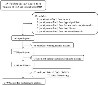 The Association of Serum Total Bile Acids With Bone Mineral Density in Chinese Adults Aged 20–59: A Retrospective Cross-Sectional Study